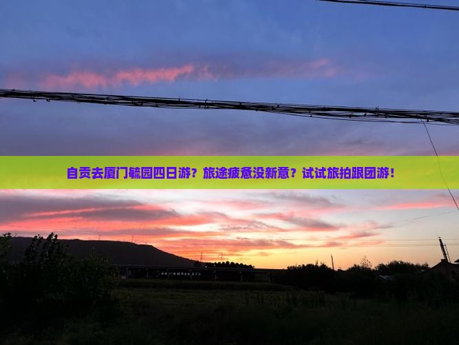 自贡去厦门毓园四日游？旅途疲惫没新意？试试旅拍跟团游！