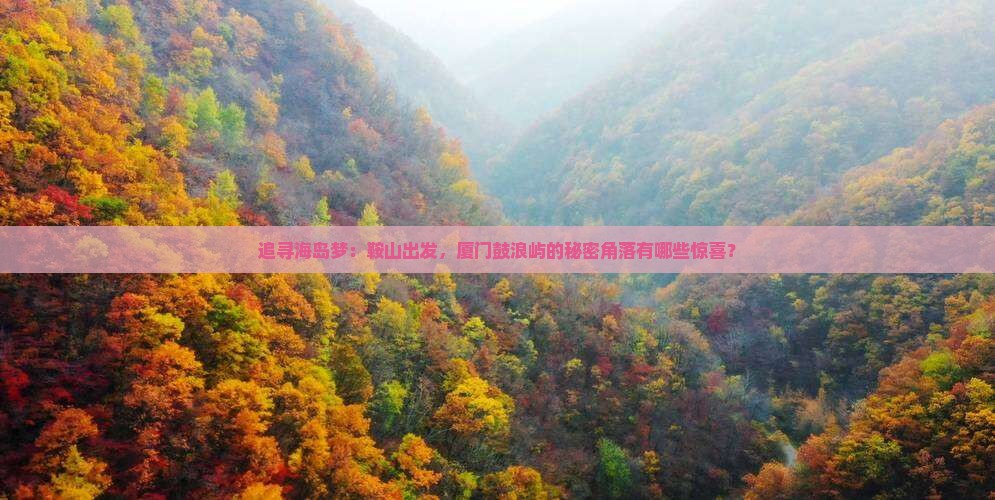 追寻海岛梦：鞍山出发，厦门鼓浪屿的秘密角落有哪些惊喜？