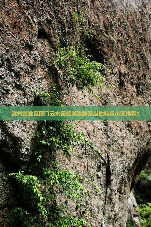 达州出发至厦门云水谣旅游攻略及当地特色小吃推荐？