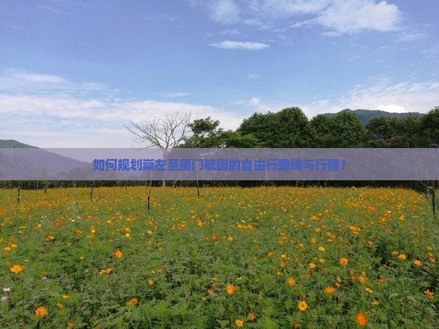 如何规划崇左至厦门毓园的自由行路线与行程？