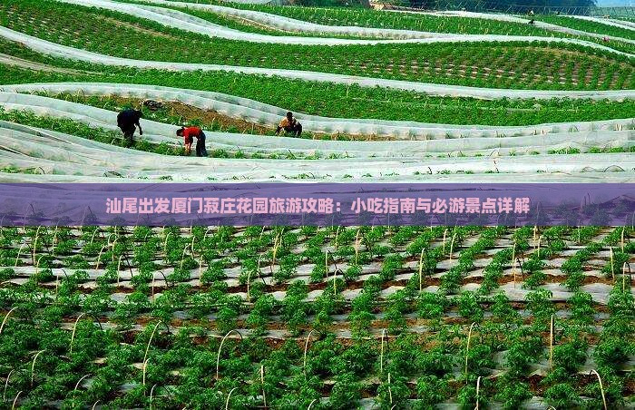 汕尾出发厦门菽庄花园旅游攻略：小吃指南与必游景点详解