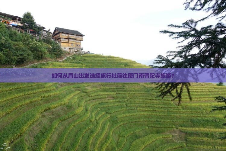 如何从眉山出发选择旅行社前往厦门南普陀寺旅游？
