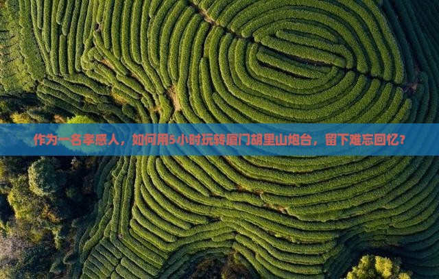 作为一名孝感人，如何用5小时玩转厦门胡里山炮台，留下难忘回忆？