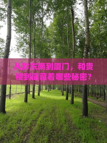 从黔东南到厦门，和贵楼到底藏着哪些秘密？