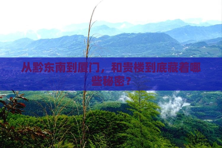 从黔东南到厦门，和贵楼到底藏着哪些秘密？