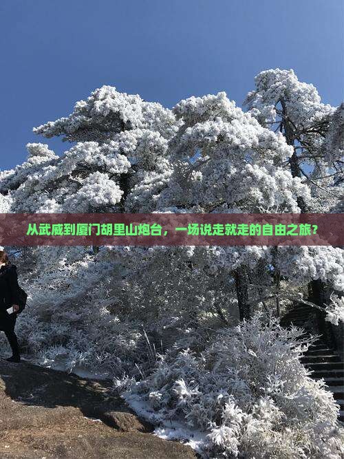 从武威到厦门胡里山炮台，一场说走就走的自由之旅？