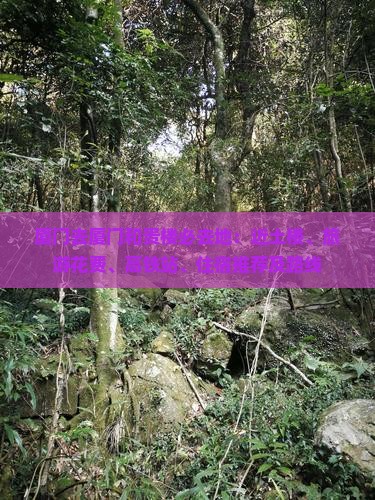 厦门去厦门和贵楼必去地：近土楼、旅游花费、高铁站、住宿推荐及路线