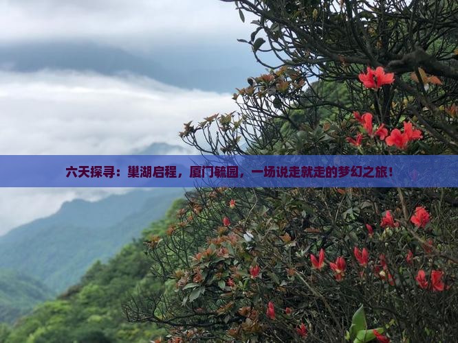 六天探寻：巢湖启程，厦门毓园，一场说走就走的梦幻之旅！