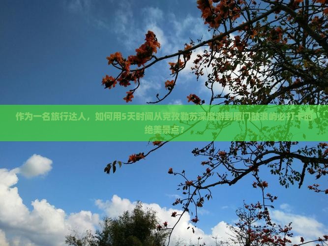 作为一名旅行达人，如何用5天时间从克孜勒苏深度游到厦门鼓浪屿必打卡的绝美景点？