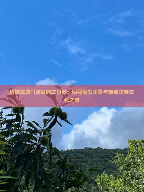 诸城去厦门鼓浪屿三日游：探寻海岛美景与南普陀寺文化之旅