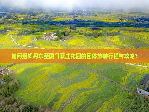 如何组织丹东至厦门菽庄花园的团体旅游行程与攻略？