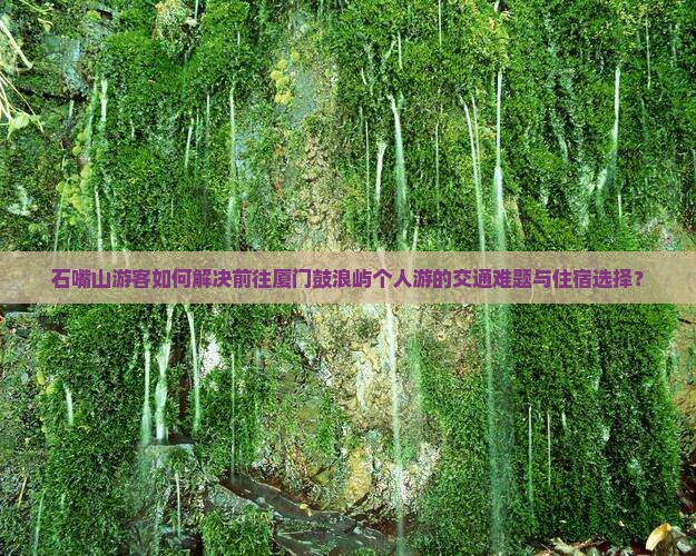 石嘴山游客如何解决前往厦门鼓浪屿个人游的交通难题与住宿选择？