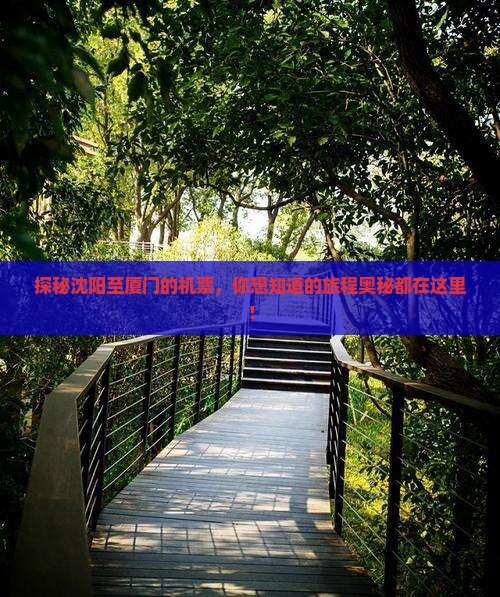 探秘沈阳至厦门的机票，你想知道的旅程奥秘都在这里！