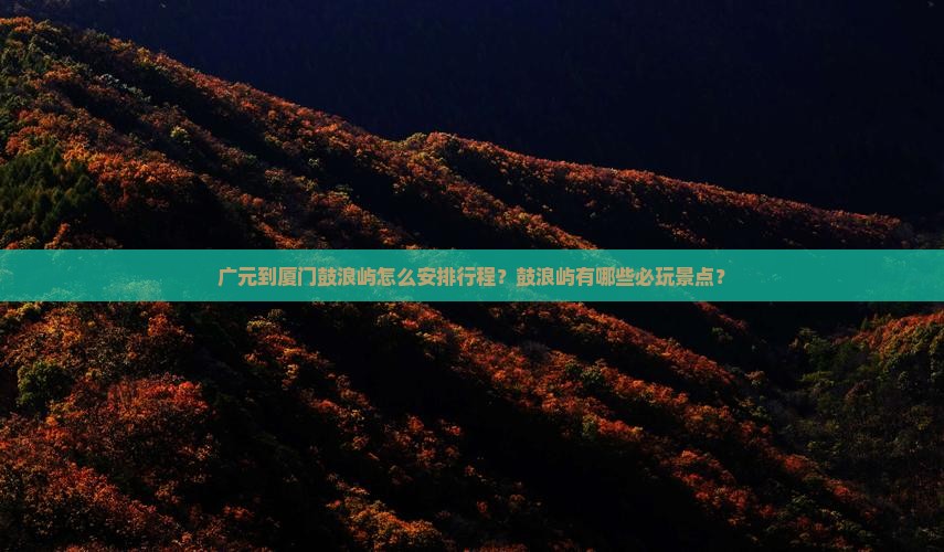 广元到厦门鼓浪屿怎么安排行程？鼓浪屿有哪些必玩景点？