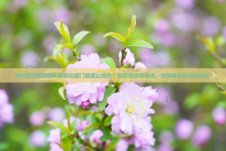 为何选择固原团队游前往厦门胡里山炮台？解密旅游新痛点，抢鲜体验热词新玩法！