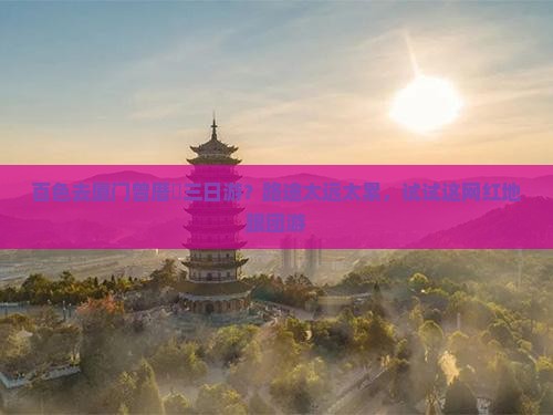 百色去厦门曾厝垵三日游？路途太远太累，试试这网红地跟团游
