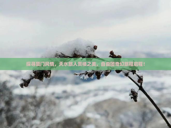 探寻厦门风情，天水旅人贵楼之美，自由团奇幻旅程启程！