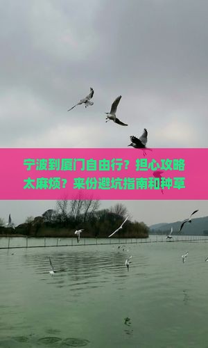宁波到厦门自由行？担心攻略太麻烦？来份避坑指南和种草清单！