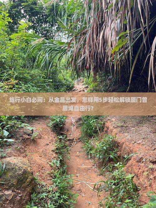 旅行小白必问：从金昌出发，怎样用5步轻松解锁厦门曾厝埯自由行？