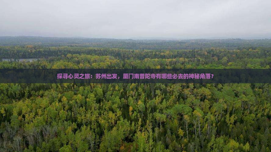 探寻心灵之旅：苏州出发，厦门南普陀寺有哪些必去的神秘角落？