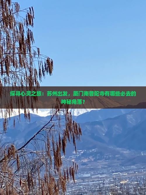 探寻心灵之旅：苏州出发，厦门南普陀寺有哪些必去的神秘角落？