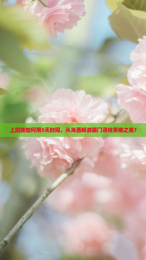 上班族如何用3天时间，从海西畅游厦门寻找贵楼之美？