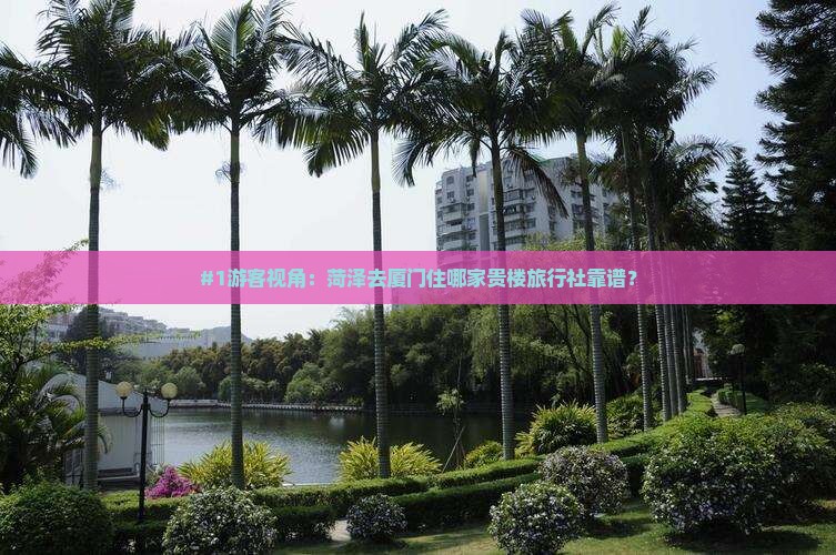#1游客视角：菏泽去厦门住哪家贵楼旅行社靠谱？