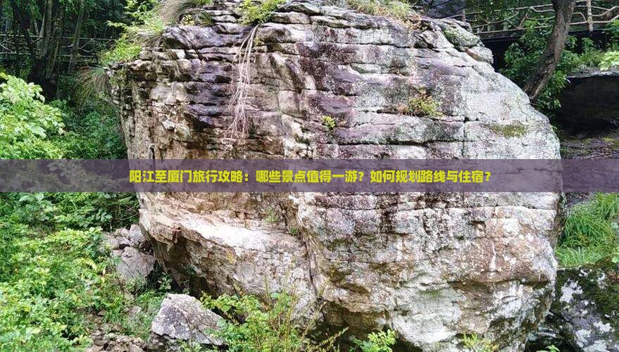 阳江至厦门旅行攻略：哪些景点值得一游？如何规划路线与住宿？