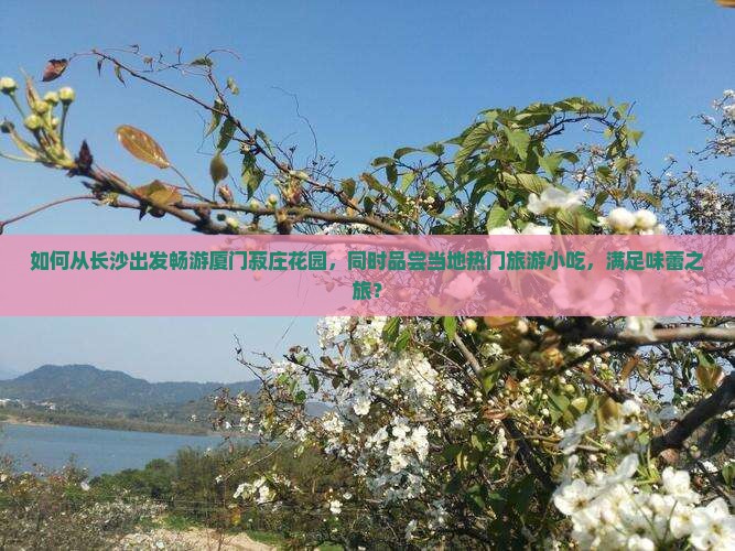 如何从长沙出发畅游厦门菽庄花园，同时品尝当地热门旅游小吃，满足味蕾之旅？