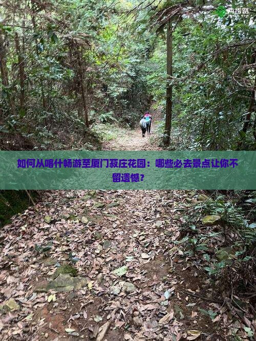 如何从喀什畅游至厦门菽庄花园：哪些必去景点让你不留遗憾？