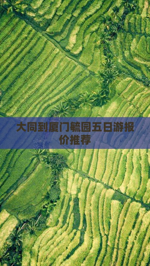 大同到厦门毓园五日游报价推荐