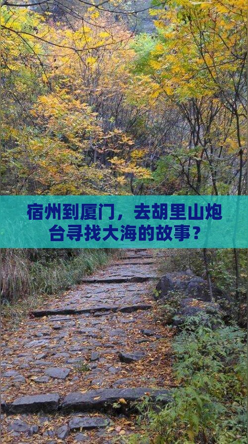 宿州到厦门，去胡里山炮台寻找大海的故事？