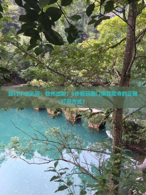 旅行小白必问：钦州出发，5步畅玩厦门南普陀寺的正确打开方式？
