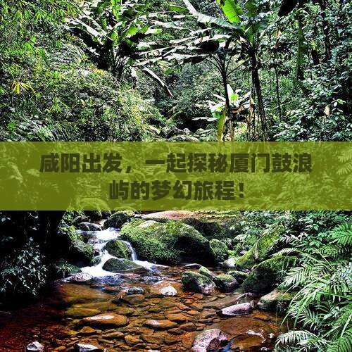 咸阳出发，一起探秘厦门鼓浪屿的梦幻旅程！