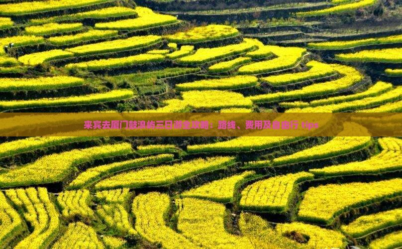 来宾去厦门鼓浪屿三日游全攻略：路线、费用及自由行 tips