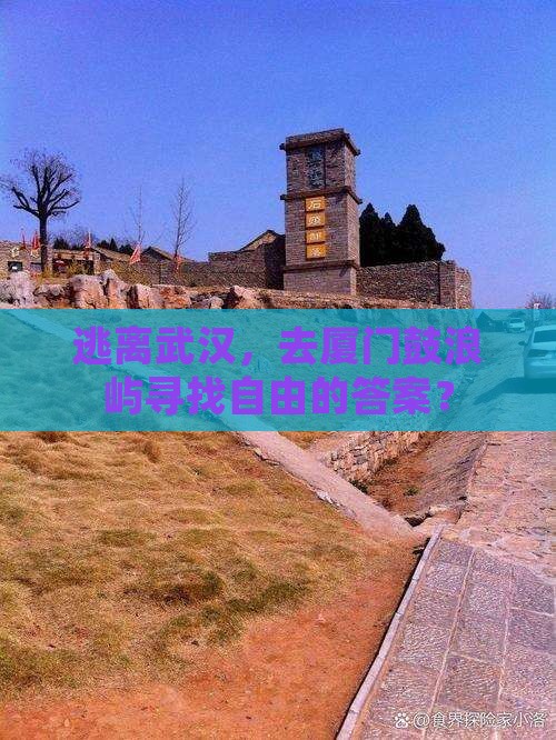 逃离武汉，去厦门鼓浪屿寻找自由的答案？