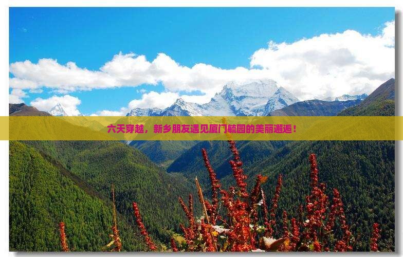 六天穿越，新乡朋友遇见厦门毓园的美丽邂逅！