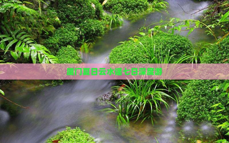 厦门夏日云水谣七日深度游