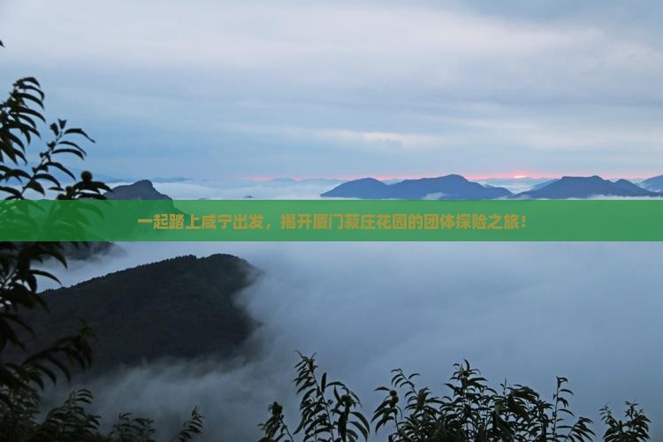 一起踏上咸宁出发，揭开厦门菽庄花园的团体探险之旅！