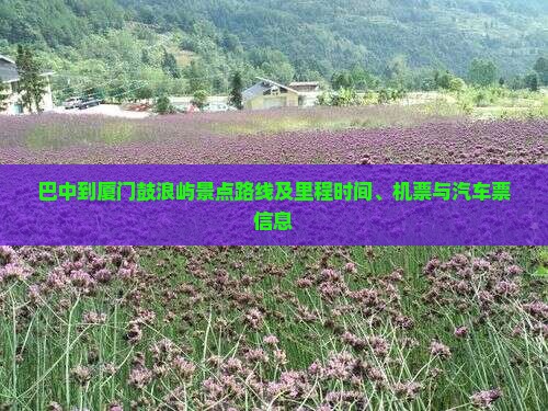 巴中到厦门鼓浪屿景点路线及里程时间、机票与汽车票信息