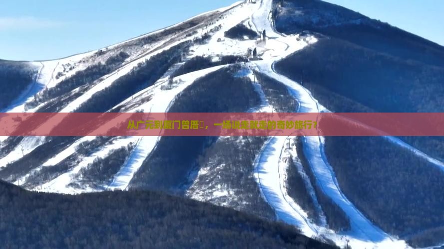从广元到厦门曾厝垵，一场说走就走的奇妙旅行？