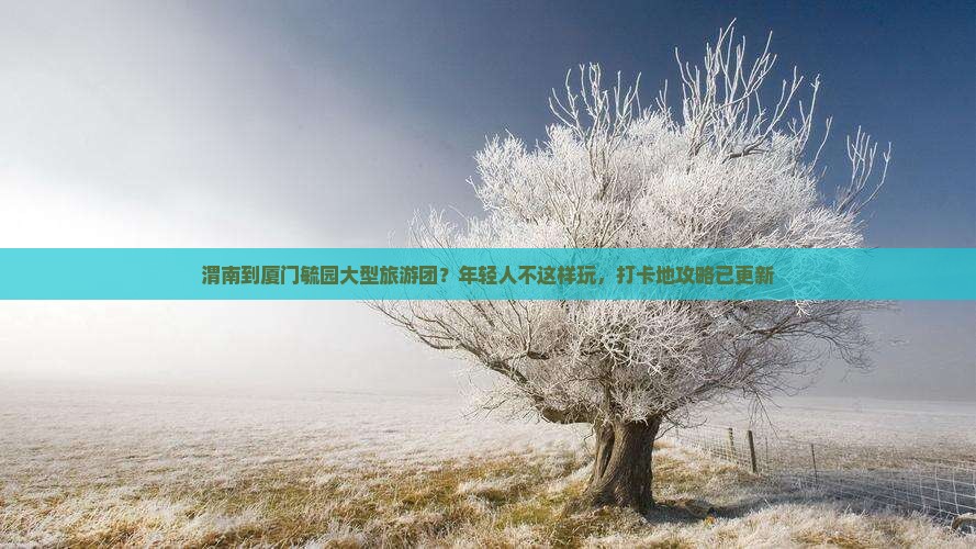 渭南到厦门毓园大型旅游团？年轻人不这样玩，打卡地攻略已更新