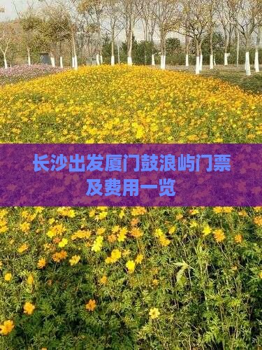 长沙出发厦门鼓浪屿门票及费用一览