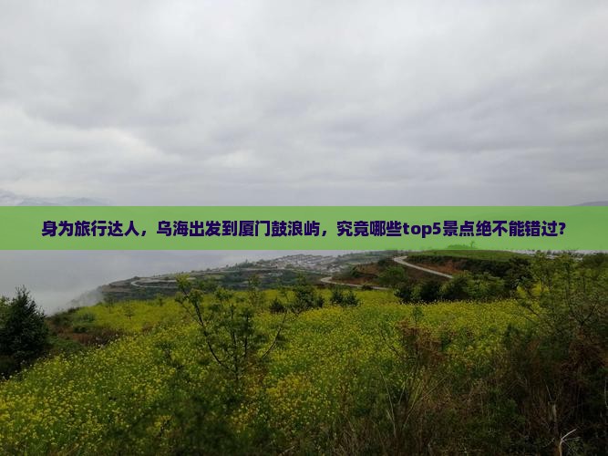 身为旅行达人，乌海出发到厦门鼓浪屿，究竟哪些top5景点绝不能错过？