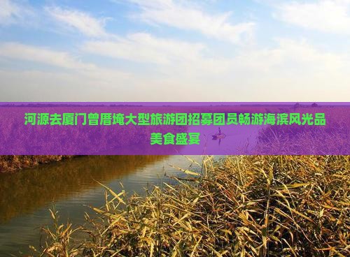 河源去厦门曾厝埯大型旅游团招募团员畅游海滨风光品美食盛宴