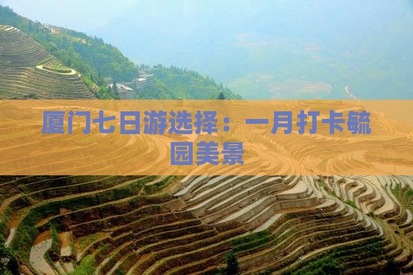 厦门七日游选择：一月打卡毓园美景