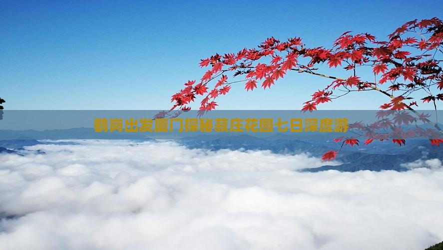 鹤岗出发厦门探秘菽庄花园七日深度游