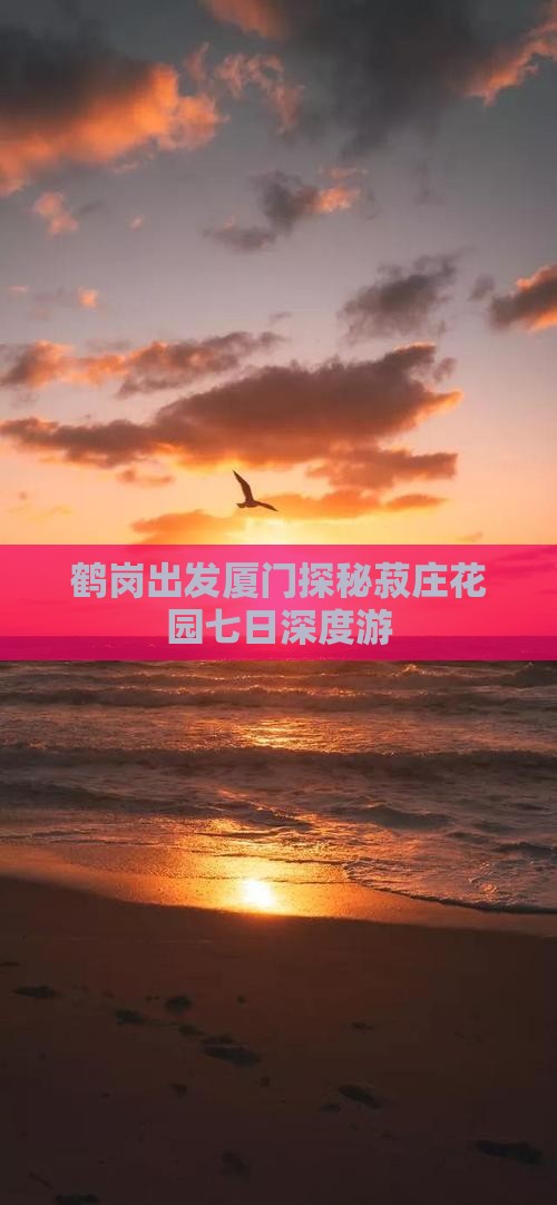 鹤岗出发厦门探秘菽庄花园七日深度游