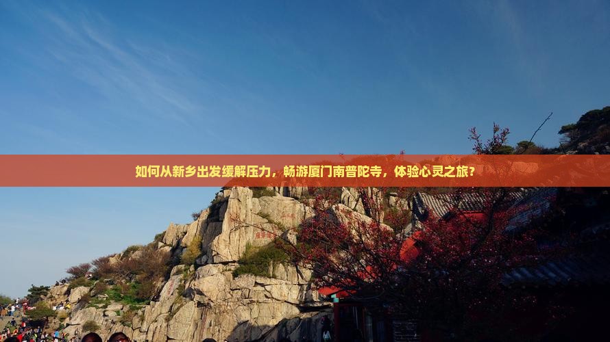 如何从新乡出发缓解压力，畅游厦门南普陀寺，体验心灵之旅？