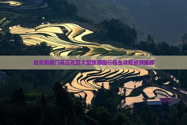 自贡到厦门菽庄花园大型旅游团行程全攻略旅游推荐